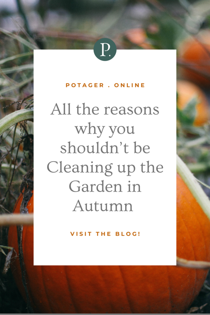 Pinnable image of a pumpkin with information about cleaning up the autumn garden