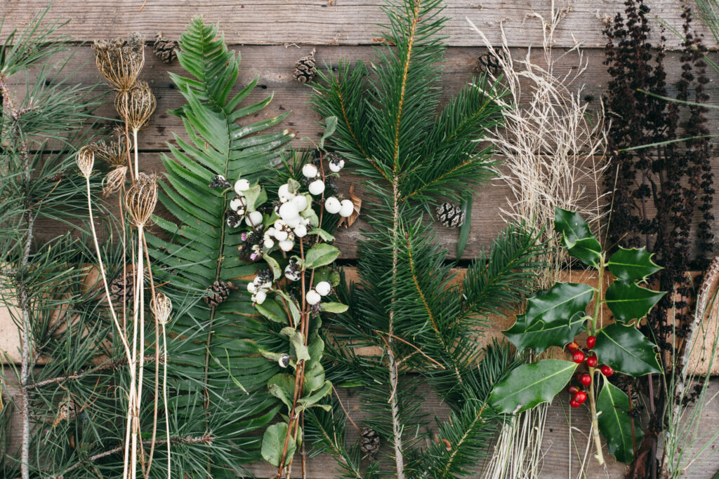 Photo of a bunch of holiday greens and berries laid out on a wood table