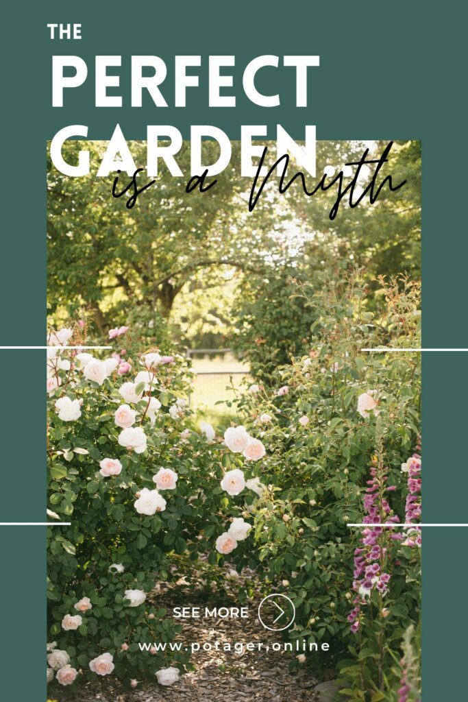 Pinnable image saying The Perfect Garden is a Myth with a link to the blog and photo of an arch and roses in a garden