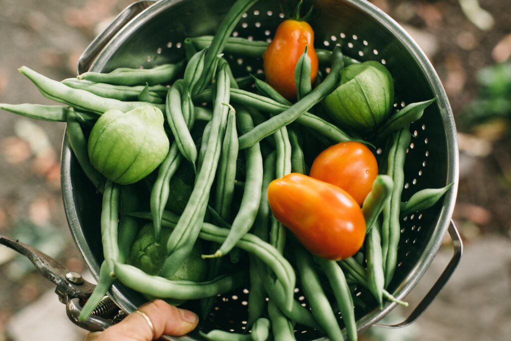 Image of a collander with garden green beans, tomatoes and tomatillos