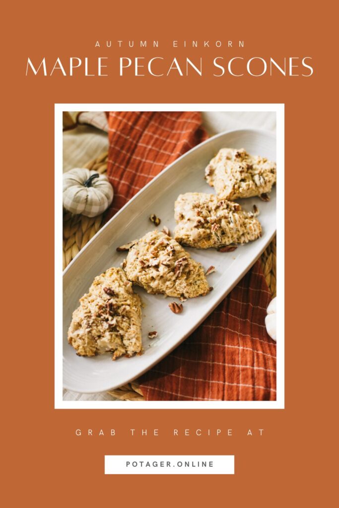 Pinnable image of Einkorn Maple Pecan Scones and where to find the recipe