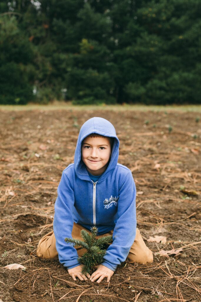 Image of a boy planting a christmas tree sapling on a homestead