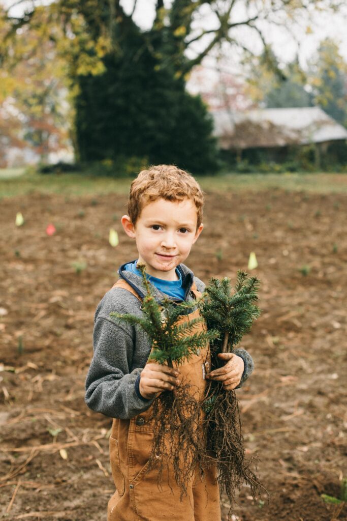 Image of a little boy carrying tree saplings on a homestead christmas tree farm